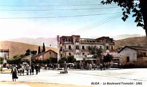 2761- Blida - Boulevard Trumelet - 1961